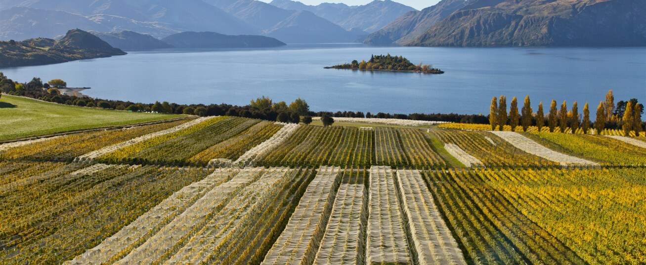 Wanaka Wine Tours Lake Wanaka & Central Otago Boutique wineries