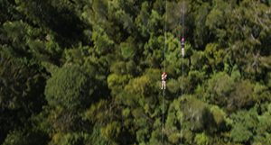 Treetop Zipline Hokitika West Coast Get Ready For Adventure