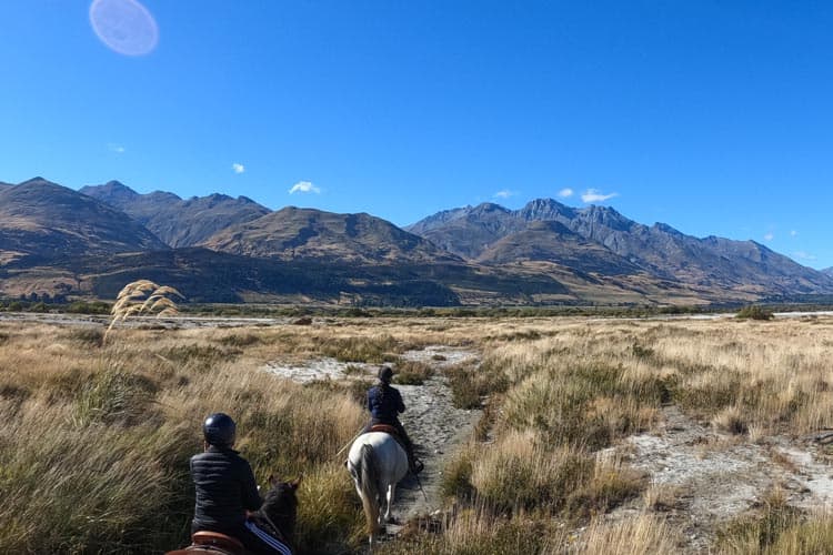 Horse Riding Trek Queenstown Glenorchy Lighthorse Adventures