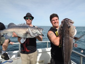 two fisherman holding up there catches od Hapuka (Groper)