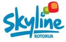 Copy of skyline logo reduced