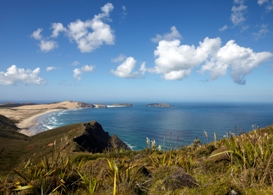 Cape Maria van Diemen från Cape Reinga