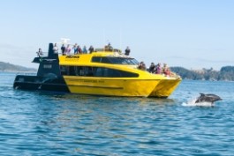 Explore-NZ-Hole-in-the-rock-cruise-bay-of-islands
