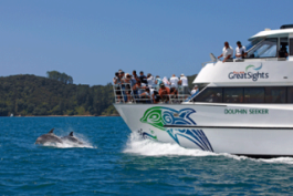 Fullers-great-sights-hole-in-the rock-dolphins-watching-paihia-Bay-of-Islands