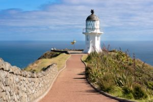 Pathway to Cape Reinga Lighthouse - A day trip from Paihia
