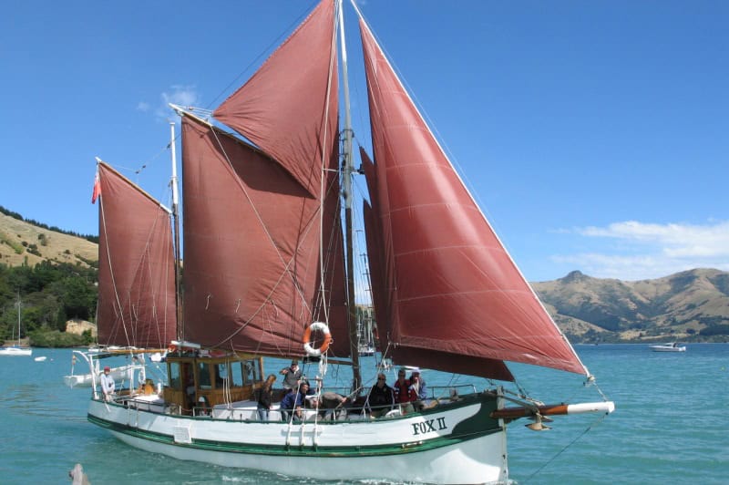 akaroafox2sailingecocruisedolphinviewingwildlifecruise10