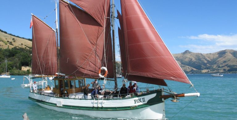 akaroa-fox-2-sailing-eco-cruise-dolphin-viewing-wildlife-cruise-12 | Must Do New Zealand | Must Do New Zealand