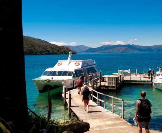 picton harbour boat tours