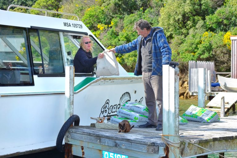 beachcomber-cruises-picton-mail-boat-run-marlborough-sounds | Must Do New Zealand
