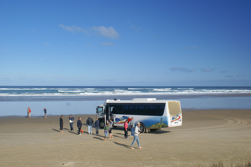 cape reinga bus tours from kaitaia