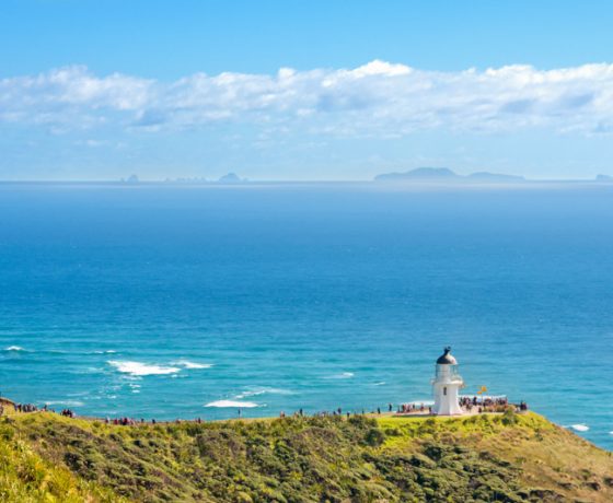 Bus Tours to Cape Reinga & Ninety Mile Beach from Kaitaia