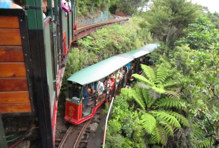 driving-creek-railway-potteries-coromandel-town-things-to-do-3 | Must Do New Zealand