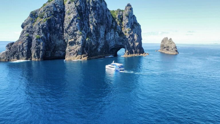 Fullers-Hole-in-the-rock-16 | Must Do New Zealand