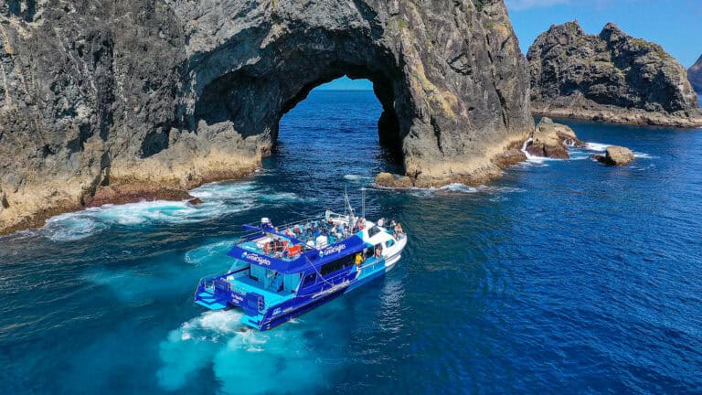 Fullers-Hole-in-the-rock-19 | Must Do New Zealand