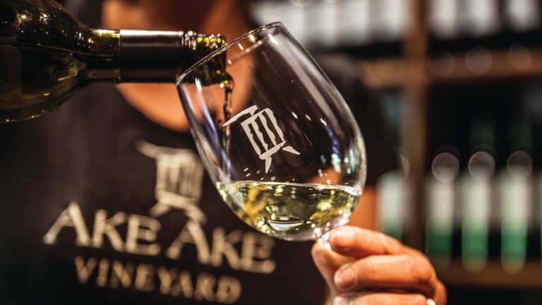 Kerikeri-wine-tours-Bay-of-Islands-53 | Must Do New Zealand