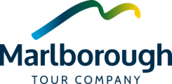 marlborough-tour-company-seafood-cruise-picton