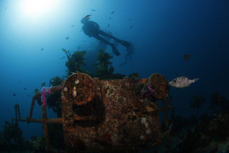 Paihia-Dive-hms-canterbury | Must Do New Zealand