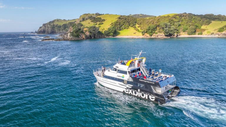 default | Must Do New Zealand