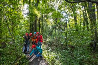 A guided forest walk prior to zilinining at Rotorua canopy tours