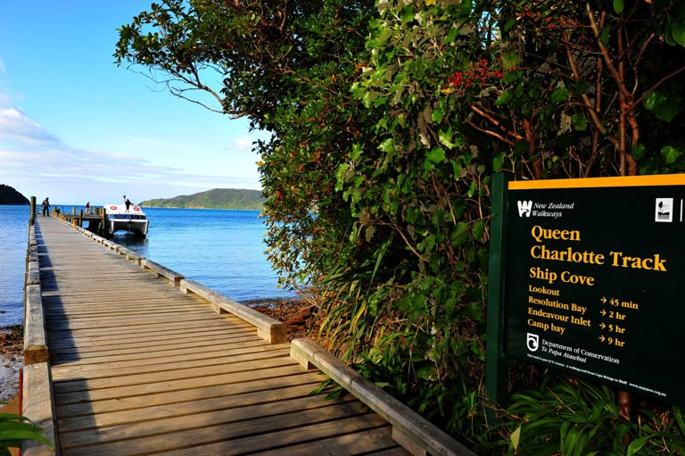 start-of-the-queen-charlotte-track-at-ship-cove | Must Do New Zealand