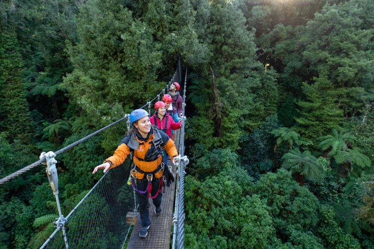 Rotorua Zipline Canopy Adventure Eco Forest Tours