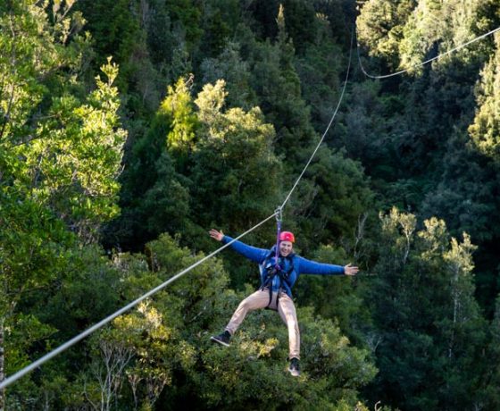 Rotorua Zipline Canopy Adventure Eco Forest Tours