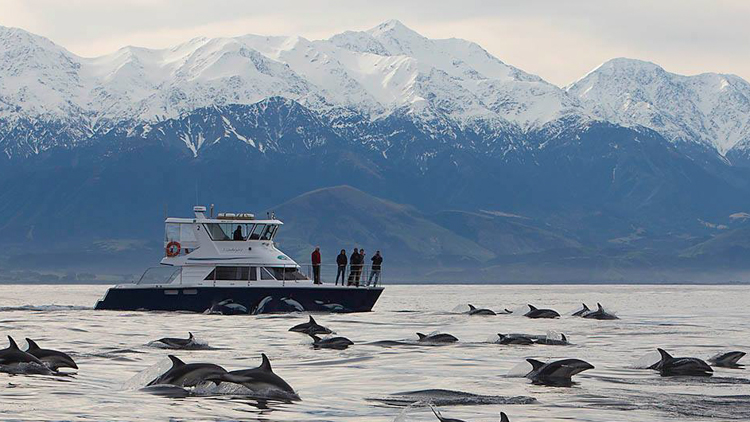 bakers dolphin trips