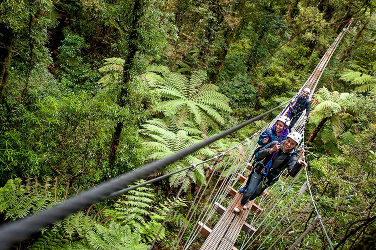 rotorua canopy tours nz