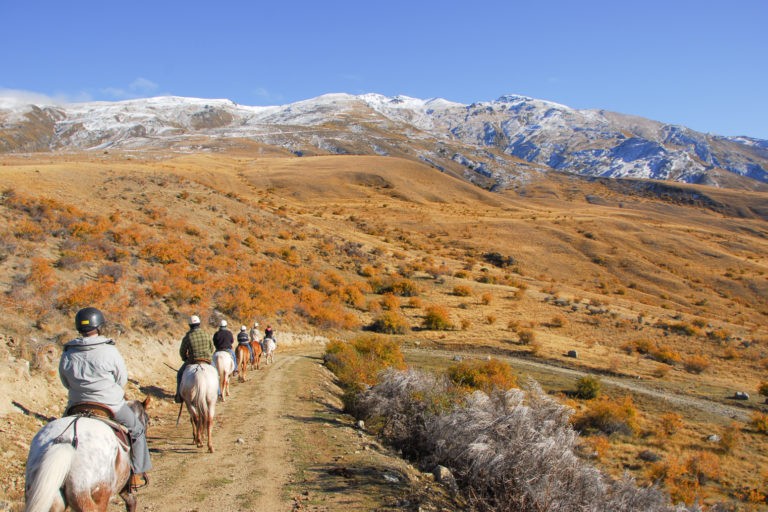 Backcountry-saddles-horse-trekking-in-the-cardrona-valley-feature-1 | Must Do New Zealand