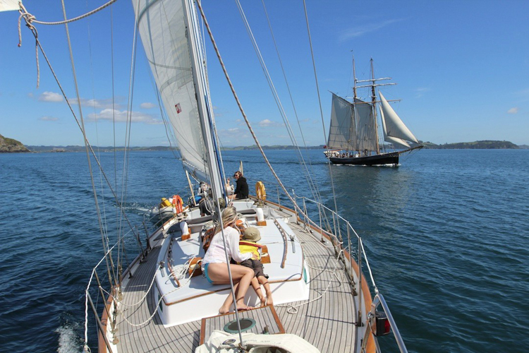 yacht sailing trips