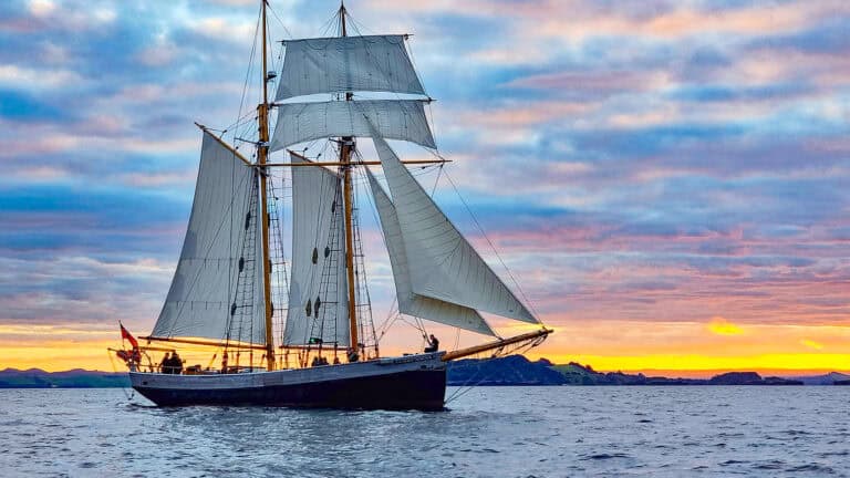 R-Tucker-thomson-bay-of-islands-34 | Must Do New Zealand