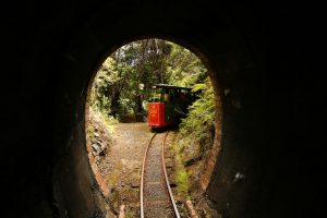 Red railcar about to enter a brick-lined tunnel at Driving Creek Railway 
