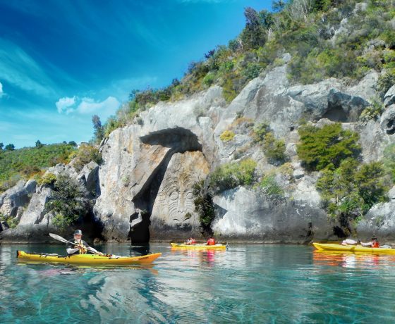 Activities &amp; Things to do in the North Island of New Zealand