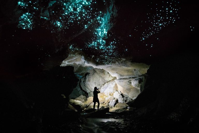 Guided eco glowworm cave tour in Waitomo