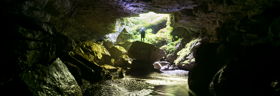 Waitomo glowworm Cave Tours - A glow worm cave adventure.