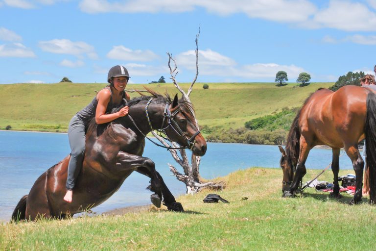 horse-treks-and-horse-rides-paihia-bay-of-islands-feature-1 | Must Do New Zealand