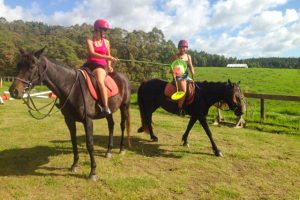 Tourists riding horses on a Paihia Horse Trek