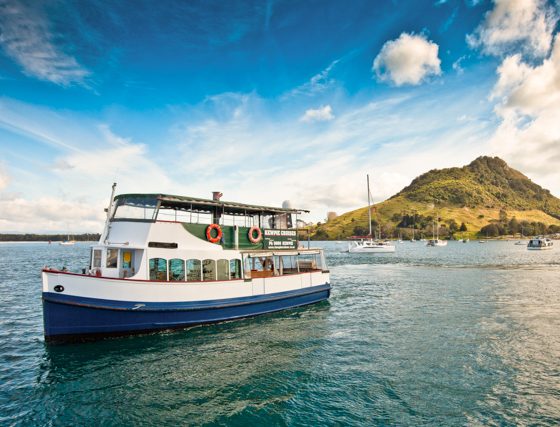 tauranga harbour boat cruise