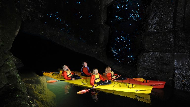 Waimarino-kayak-tours-tauranga-glowworm-tour-13 | Must Do New Zealand | Must Do New Zealand