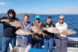 Group of fishing enthusiasts with a catch of Snapper aboard "Days out Fishing" in the Bay of Islands