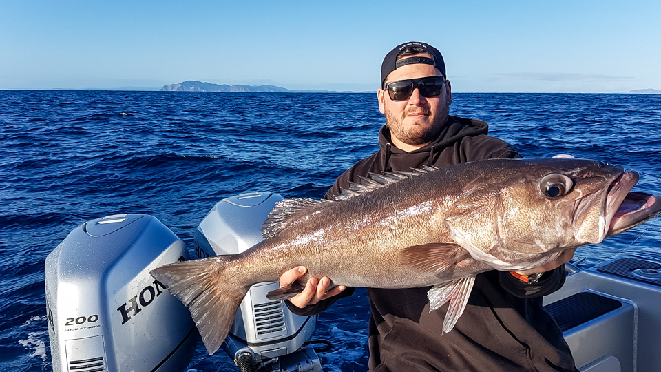Days Out Fishing Charters Snapper & Kingfish Bay of Islands