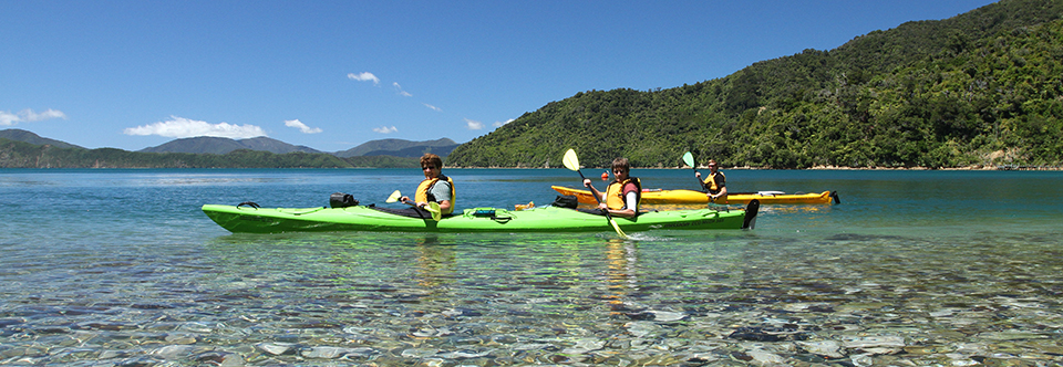 picton harbour boat tours