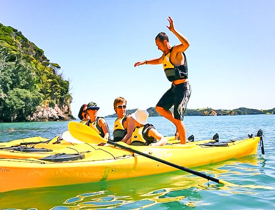 bay of islands guided kayak tours