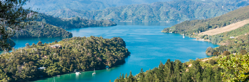 Queen Charlotte Track - Four Day Guided & Independant Walks 