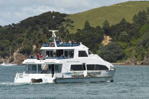 Fullers Cream Trip Cruising Through The Bay