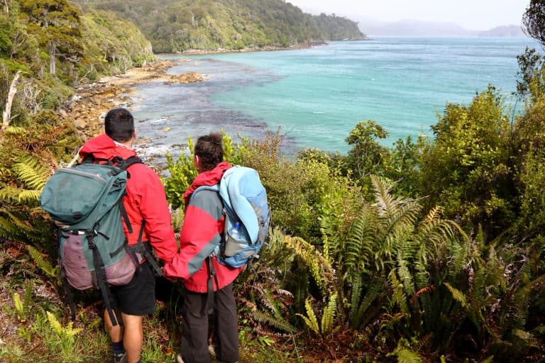 Stewart-Island-experiences-Real-journeys-ferry-22 | Must Do New Zealand Guided nature tour on Stewart Island.