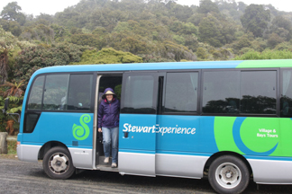 stewart island bus tour
