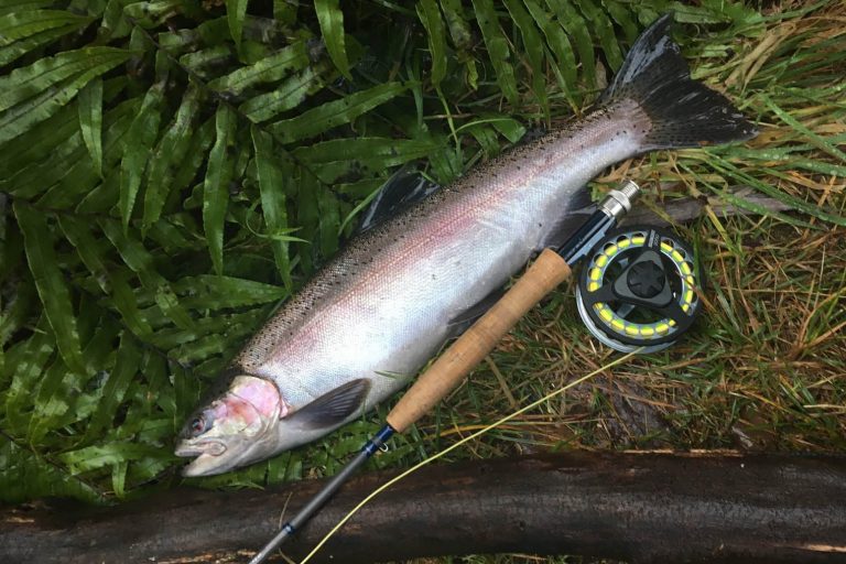 Trout-Fishing-Rotorua-and-Taupo-for-brown-Rainbow-trout-15 | Must Do New Zealand | Must Do New Zealand