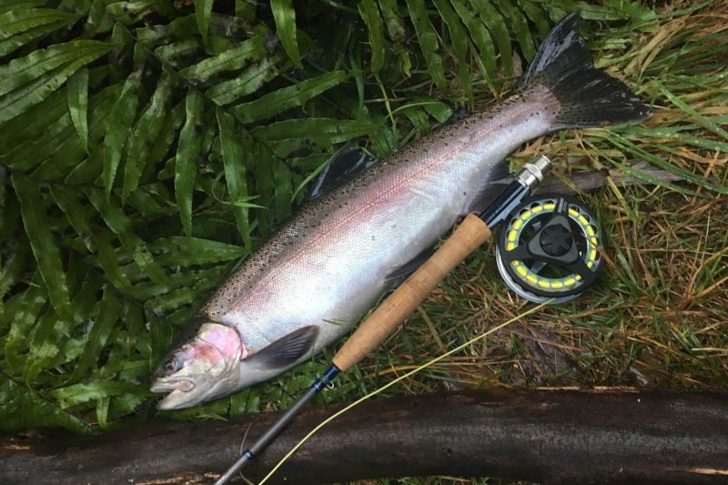 TroutFishingRotoruaandTaupoforbrownRainbowtrout15 Must Do