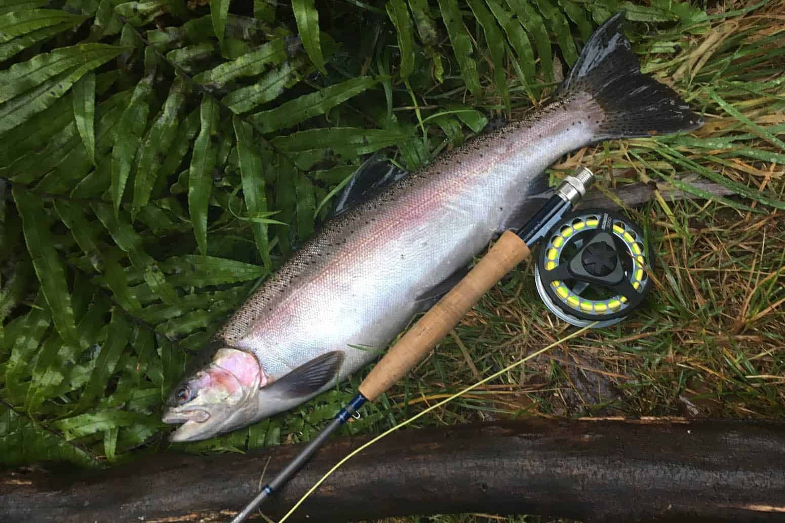 TroutFishingRotoruaandTaupoforbrownRainbowtrout15 Must Do